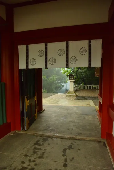 DSC_3190 (Large).JPG